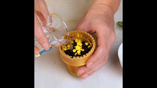 Indoor plant care hacks for plant lovers 🌿 shorts planting garden diy indoor [upl. by Rabbi]