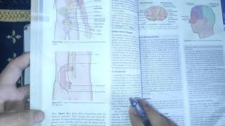 physiology guyton 49 visceral parietal and Referred painclinicals of painneurophysiologymbbs [upl. by Herta]