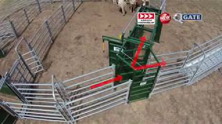 QGate  2Way Cattle Diversion  Cattle Equipment  Arrowquip [upl. by Anayhd575]