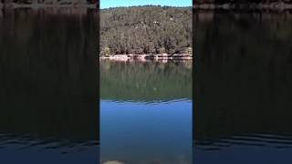 Lac de Carcès Var [upl. by Eednas]