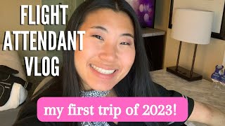 FLIGHT ATTENDANT VLOG first trip of 2023amp its a FIVE day 🤯 [upl. by Eiloj]