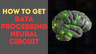 How to Get Data Processing Neural Circuit in The First Descendant [upl. by Narrat411]