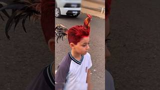 Man transforms into a real Rooster 🐓 in AGT Americas got talent 😱😂 Duo SchumacherAGTmagic [upl. by Enyawd776]