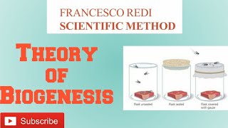 Biogenesis  Francisco Redi Experiment [upl. by Encratis]