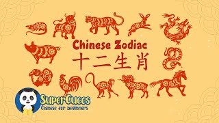 Learn Chinese for Beginners  Chinese Zodiac  学中文 十二生肖 [upl. by Ruelu48]