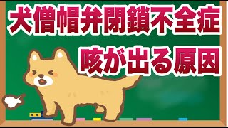 犬が僧帽弁閉鎖不全症になると咳の症状がでる原因とは？【獣医師解説】 [upl. by Azriel]