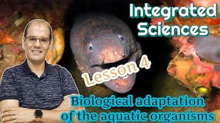 Integrated science  Lesson 4 The biological adaptation of the aquatic organisms [upl. by Fruma734]