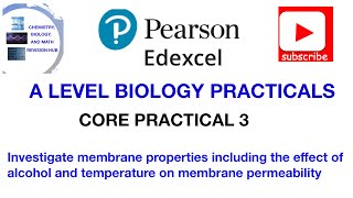 Membrane permeability  Alcohol and temperature  Core practical 3 [upl. by Adel]