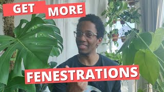 3 simple steps to get more Monstera fenestrations [upl. by Kenwee]