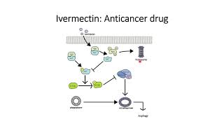 Cancer Ivermectin an Potential Anticancer Drug Code 108 [upl. by Yejus]