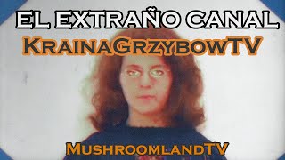 El extraño canal KrainaGrzybowTV MushroomlandTV [upl. by Aniz]