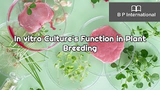 In vitro Cultures Function in Plant Breeding [upl. by Daitzman]