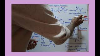 Merrifield Solid Phase Peptide Synthesis [upl. by Hepzi]