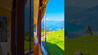 Breathtaking Schynige Platte Train Ride🚂🇨🇭switzerland schynigeplatte train wilderswil bahn [upl. by Acimot]