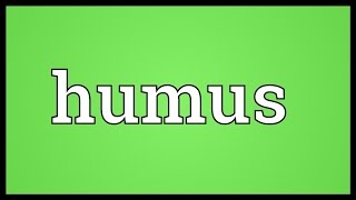 Humus Meaning [upl. by Stover680]