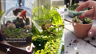 Planttok 🌱 Part 8 🌱 tiktok compilation [upl. by Loggia]