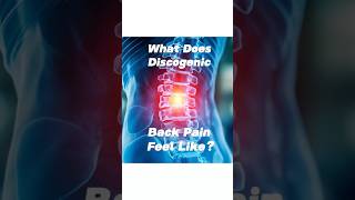 What Does Discogenic Back Pain Feel Like [upl. by Forrest]