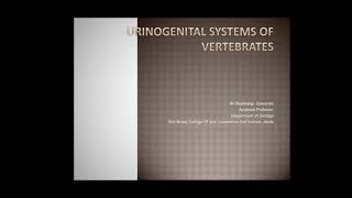 Urinogenital System of vertebrates [upl. by Shirline]