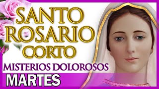 Santo Rosario Corto de Hoy Martes 🌸 Misterios Dolorosos 🌻 Rosario a Santa Virgen María [upl. by Corley541]