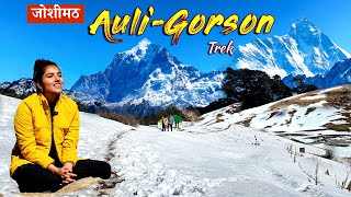 Auli Uttarakhand  Auli Tourist Places  Joshimath  Auli Gorson Bugyal Trek  Blue Poppy Resort [upl. by Sadirah]