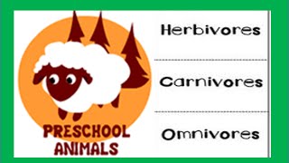 Herbivore Carnivore Omnivore Animals [upl. by Esirehc]