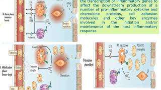 Immunosuppression SOT  Prof Youssef Mosaad [upl. by Assilat]