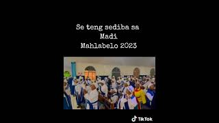 Seteng Sediba sa Madi August2023 motlollo [upl. by Yadroc330]