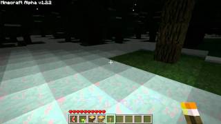 Minecraft  Carried torches casting light [upl. by Evangelin494]