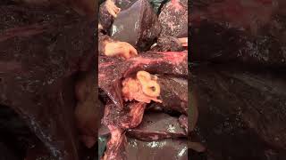 Fasciola hepática en canalículos biliares 🐮 medicinaveterinaria veterinaria [upl. by Ahsekin]