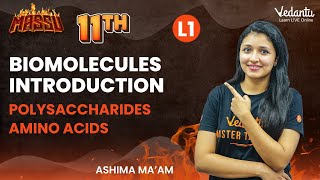 Biomolecules Introduction  Polysaccharides  Amino Acids  Class 11  Ashima maam  V Master [upl. by Caton]