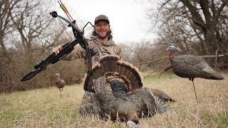 My First Ever Crossbow Turkey Hunt On Opening Day Craziest Hunt of My Life [upl. by Aknayirp]