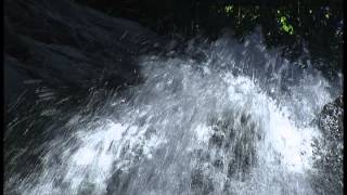 Like A River by Shannon J Wexelberg Features Artbeats footage [upl. by Daniele]