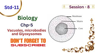 Biology Std 11 chp5 cell structure and organisation  Session8 vacoules glyoxysomes Mh board [upl. by Rosenberg]