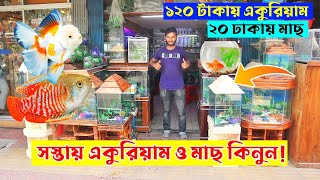 Aquarium price in Bangladesh 2024 🐠 Aquarium fish price in Bangladesh  buy aquarium in cheap price [upl. by Enamrej]