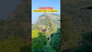 Ambuli Illam Anamalai Tiger Reserve Parambikulam forest tiger anamalai parambikulam kerala tn [upl. by Kurland]