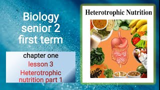 Biologysenior 21st termchapter 1lesson 3Heterotrophic nutrition part 1بيولوجي تانية ث ترم اول [upl. by Accebor649]