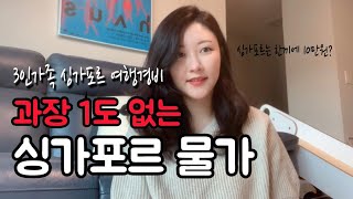 싱가포르 생활비싱가포르 여행경비싱가포르 여행지추천 [upl. by Iridissa44]