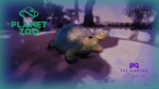 Galapagos Tortoise Habitat Build  Planet Zoo [upl. by Poppy]