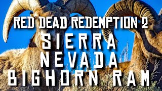 Sierra Nevada Bighorn Ram  Red Dead Redemption 2 RDR2 rdr2 [upl. by Alleusnoc]