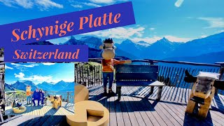 SCHYNIGE PLATTE 4K MOUNTAIN RIDGE SWITZERLAND [upl. by Naujet]