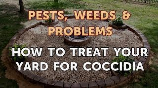 How to Treat Your Yard for Coccidia [upl. by Auhsej]