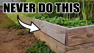 7 Beginner Raised Bed Garden Mistakes to Avoid [upl. by Huberman]