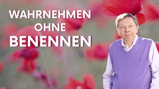 Wahrnehmen ohne Benennen  Eckhart Tolle Deutsch [upl. by Pudens]