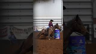 Ashley Schafer amp quotHippiequot at the Select Stallion Stakes Futurity horse barrelracing barrelracer [upl. by Esikram]