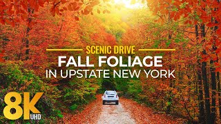 Fall Foliage in Upstate New York  Colorful Autumn Vibes in 8K Scenic Drive Video [upl. by Malinda294]