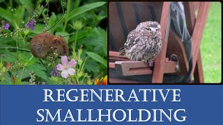 Sustainable Smallholding Regenerative Agriculture Homestead [upl. by Mialliw]