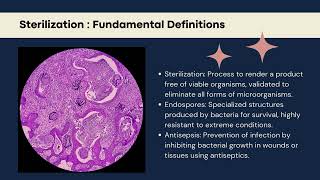 Exploring Sterilization Processes 1 [upl. by Jamnes]