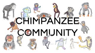 CHIMPANZEE COMMUNITY [upl. by Nashner]