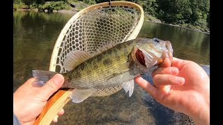 Caught some Bartrams Bass in the North Georgia Mountains 배스 낚시 [upl. by Ennyrb]