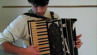 Scandalli Delfino 120 bass piano accordion SOLD [upl. by Costin]